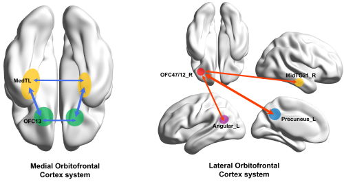 anatomia-depressione